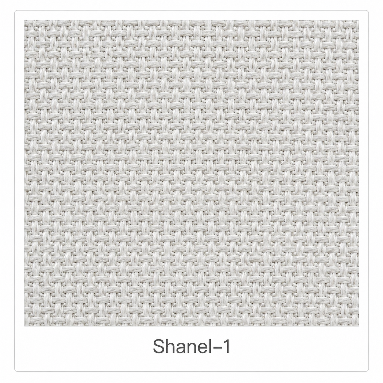 Shanel-1
