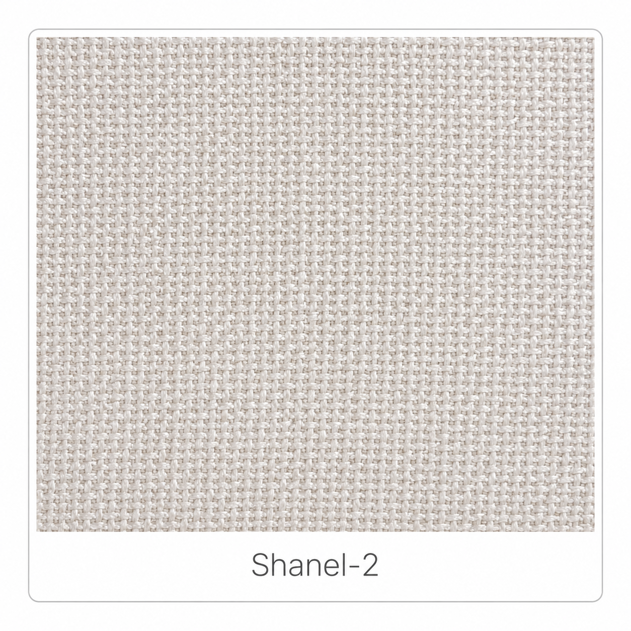 Shanel-2
