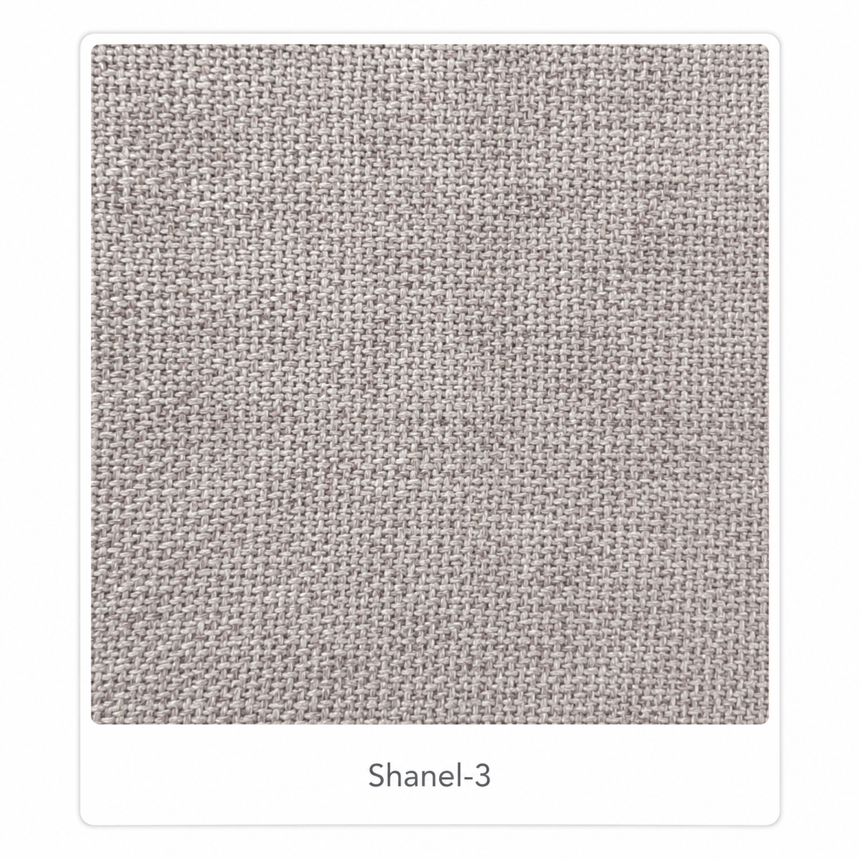 Shanel-3