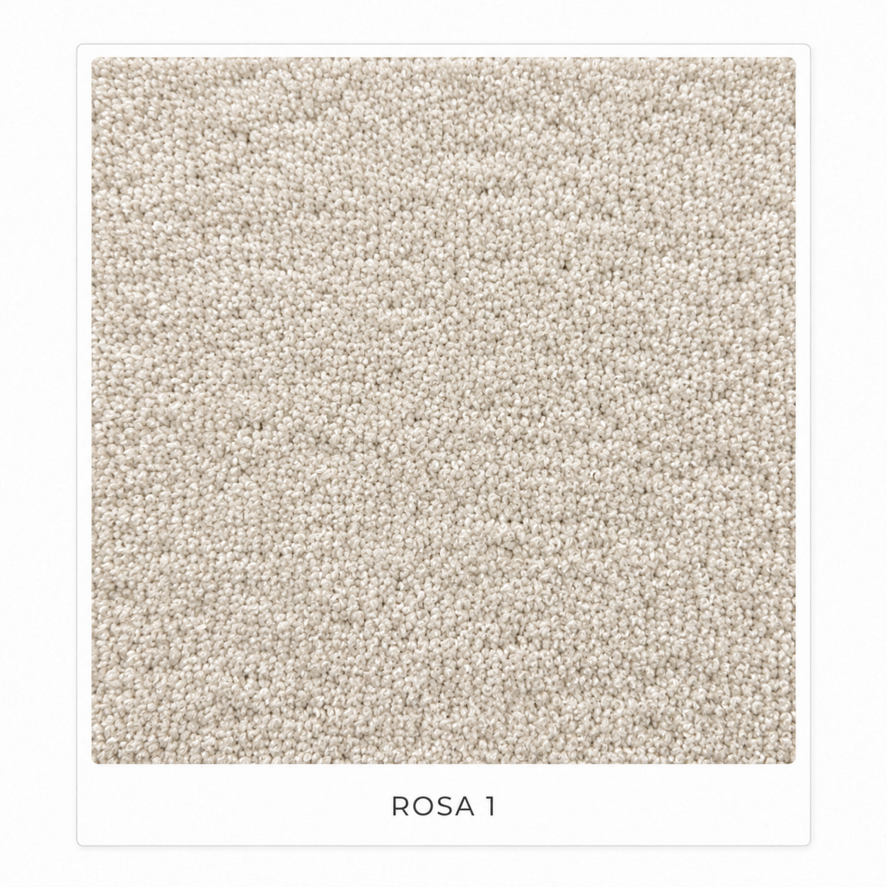 ROSA 1